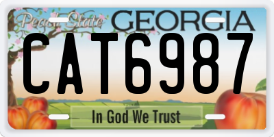 GA license plate CAT6987