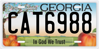 GA license plate CAT6988