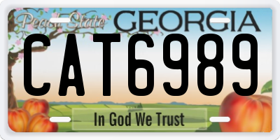 GA license plate CAT6989