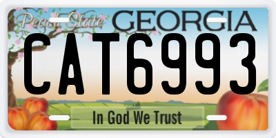 GA license plate CAT6993