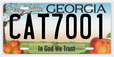 GA license plate CAT7001