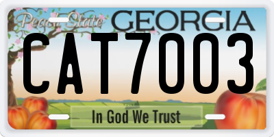 GA license plate CAT7003