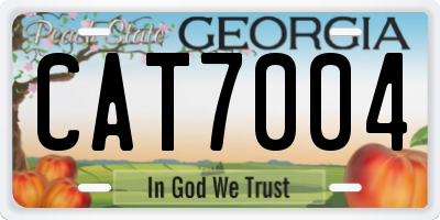 GA license plate CAT7004