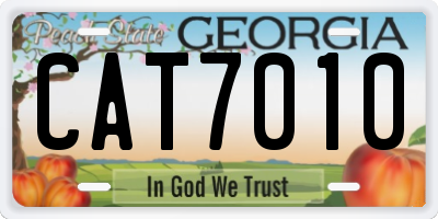 GA license plate CAT7010