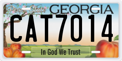 GA license plate CAT7014