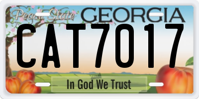 GA license plate CAT7017