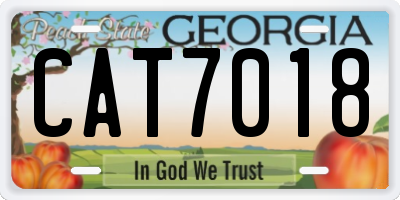 GA license plate CAT7018