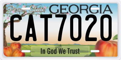 GA license plate CAT7020