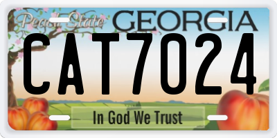 GA license plate CAT7024