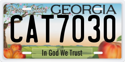 GA license plate CAT7030