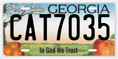 GA license plate CAT7035