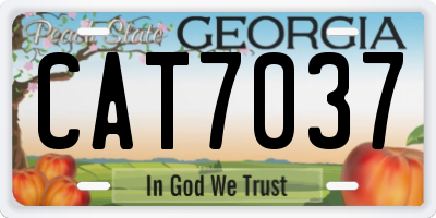 GA license plate CAT7037