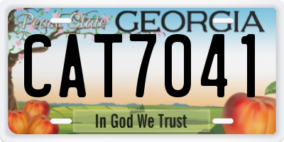 GA license plate CAT7041