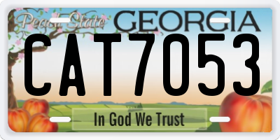 GA license plate CAT7053