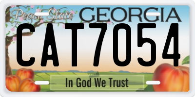 GA license plate CAT7054