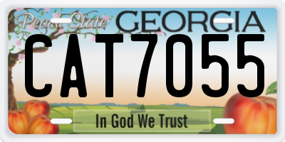 GA license plate CAT7055