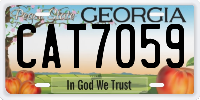 GA license plate CAT7059