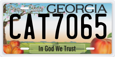 GA license plate CAT7065