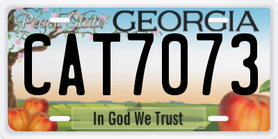 GA license plate CAT7073