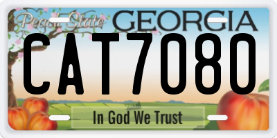 GA license plate CAT7080