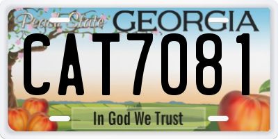 GA license plate CAT7081