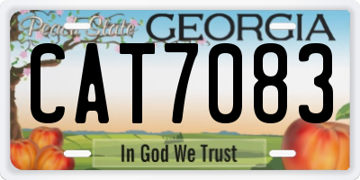 GA license plate CAT7083