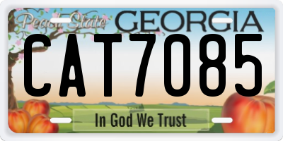 GA license plate CAT7085