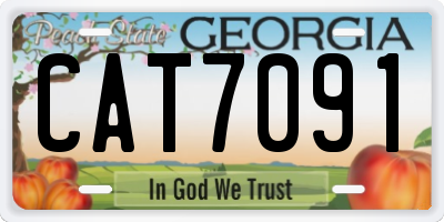 GA license plate CAT7091
