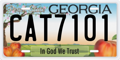 GA license plate CAT7101