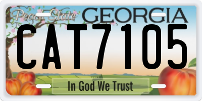 GA license plate CAT7105