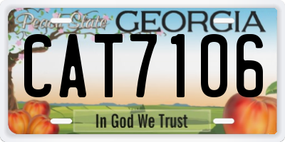 GA license plate CAT7106