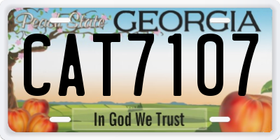 GA license plate CAT7107
