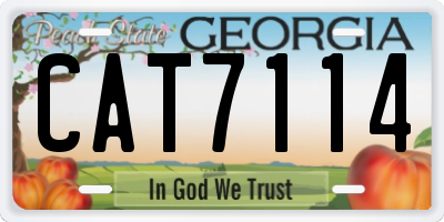 GA license plate CAT7114