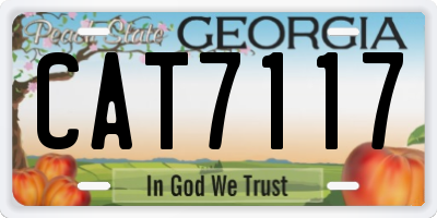 GA license plate CAT7117