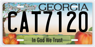 GA license plate CAT7120
