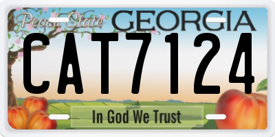 GA license plate CAT7124