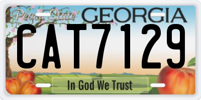 GA license plate CAT7129