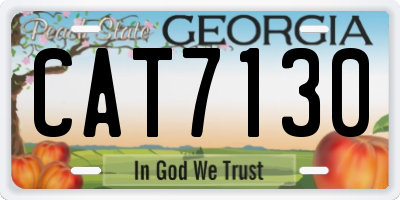 GA license plate CAT7130