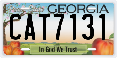 GA license plate CAT7131