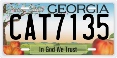 GA license plate CAT7135