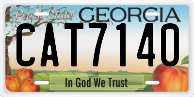 GA license plate CAT7140