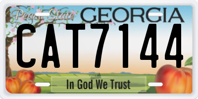 GA license plate CAT7144