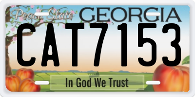 GA license plate CAT7153