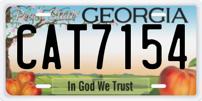 GA license plate CAT7154