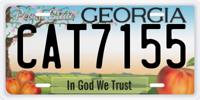 GA license plate CAT7155