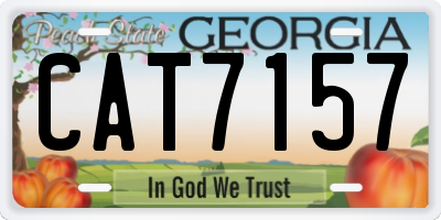 GA license plate CAT7157