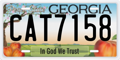 GA license plate CAT7158
