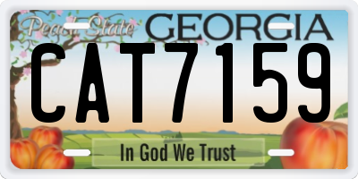 GA license plate CAT7159