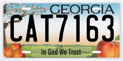 GA license plate CAT7163