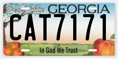 GA license plate CAT7171